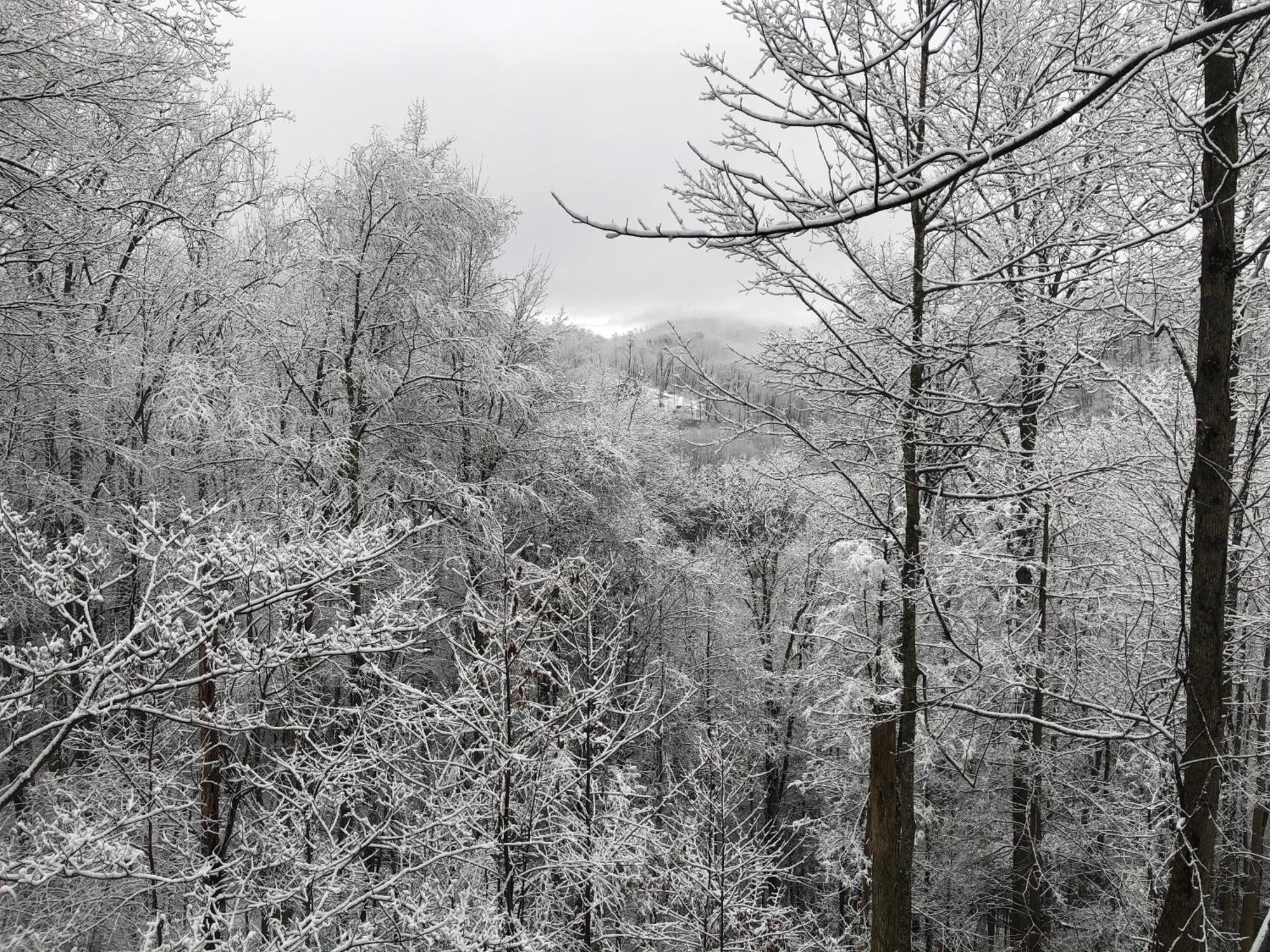 Black Bear Cove Gatlinburg Luaran gambar