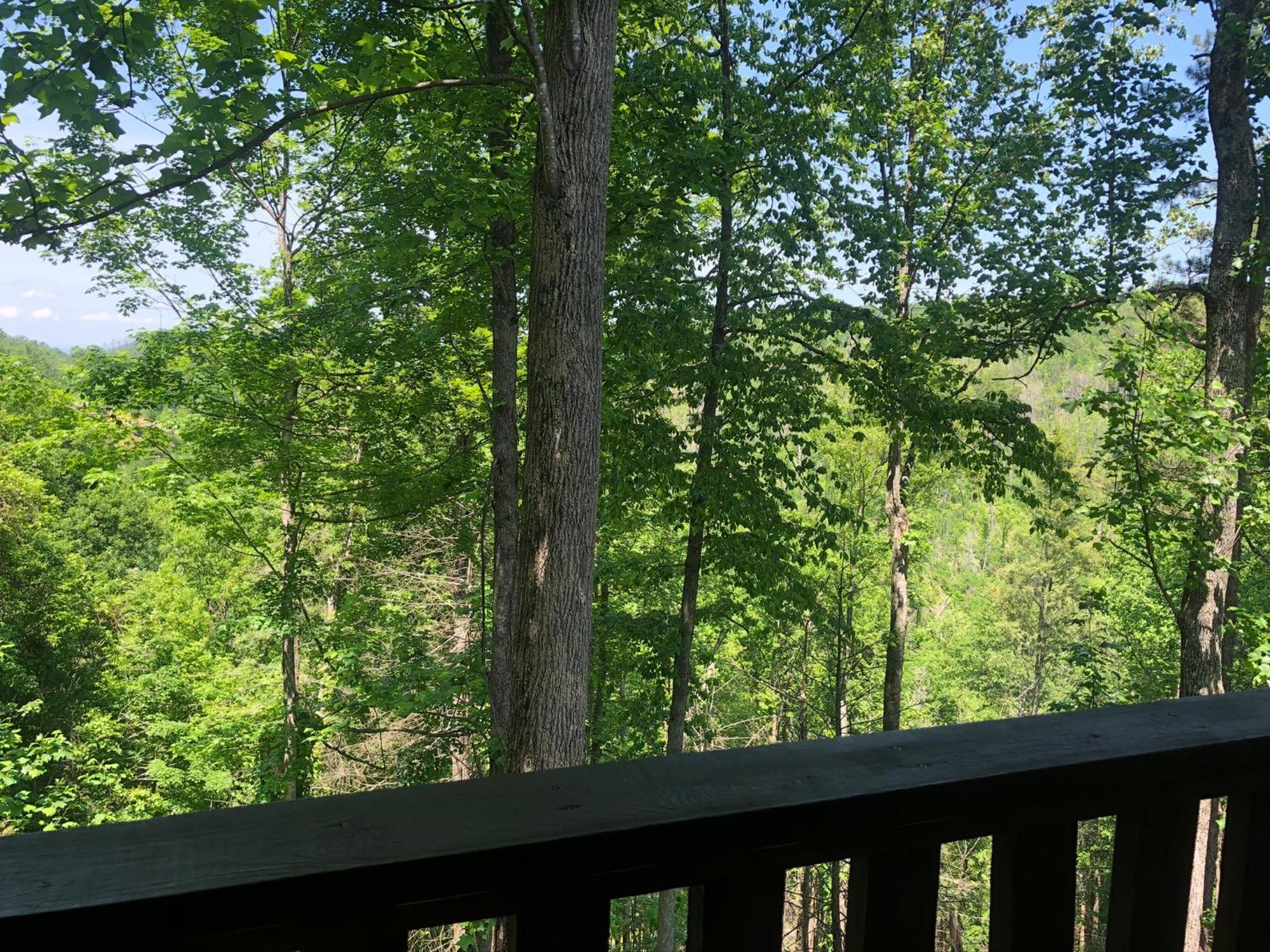 Black Bear Cove Gatlinburg Luaran gambar